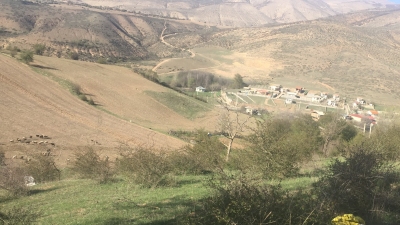 زمین نیم هکتاری کشاورزی دشت لکتور پول شهر پول  آستانکرود �